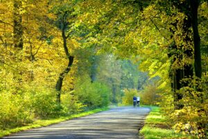 Altmühltaler Radweg / Radweg Altmühltal - unvergessllich schön.