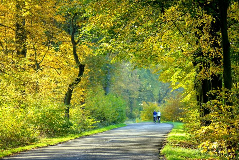 Altmühltaler Radweg / Radweg Altmühltal - unvergessllich schön.